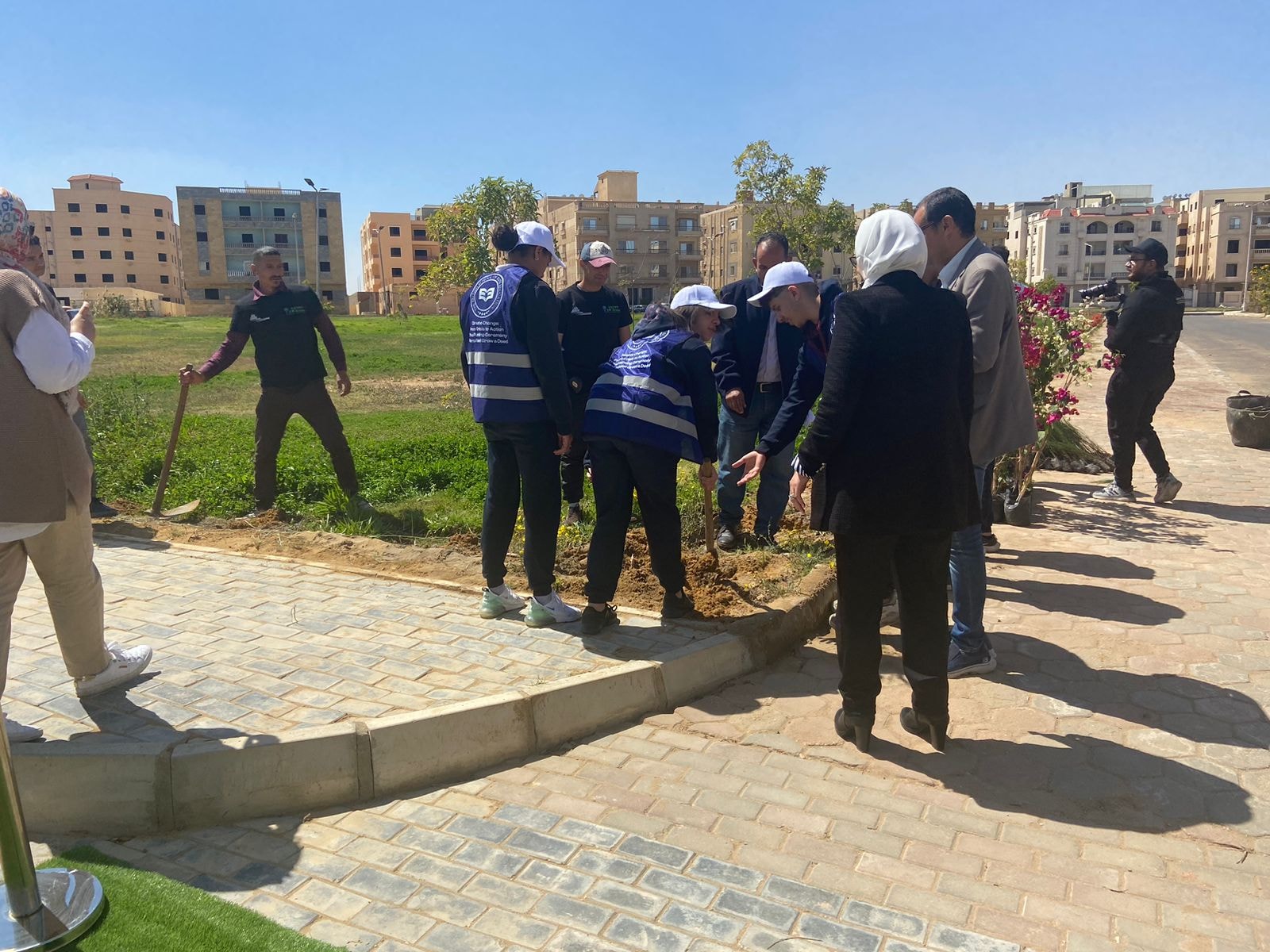 Close-up — tree planting in action